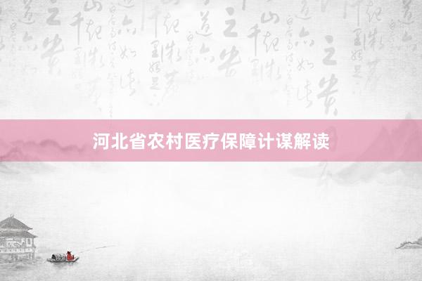 河北省农村医疗保障计谋解读