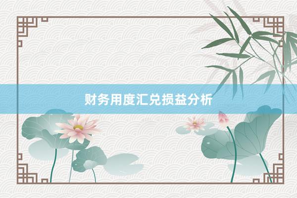 财务用度汇兑损益分析